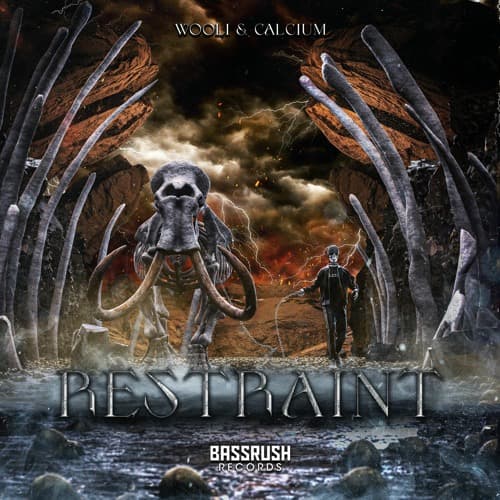 Wooli, Calcium - Restraint by Bassrush artwork
